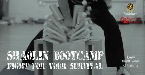 shaolin bootcamp