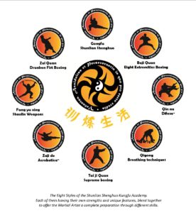 Shunlian Shenghuo Kungfu Academy grades