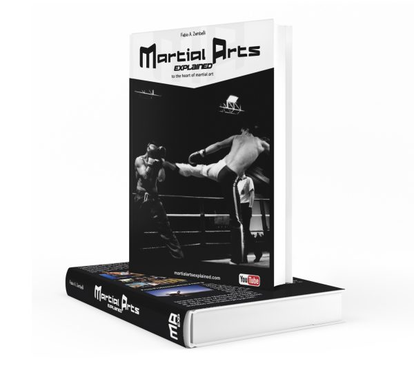 Martial Arts Explained book