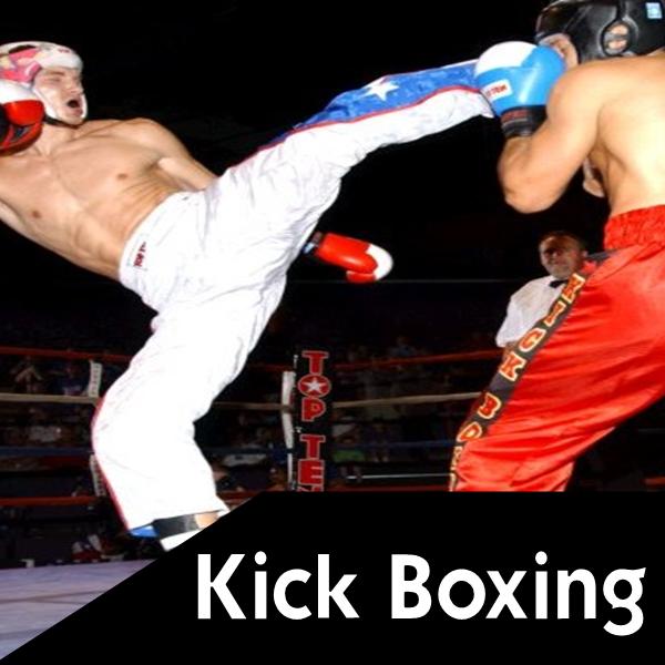 Maschera Kick Boxing MMA bassa